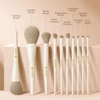 ANEW 10-Piece Beginner-Friendly Makeup Brush Set | Soft Synthetic Bristles for Face & Eye Makeup