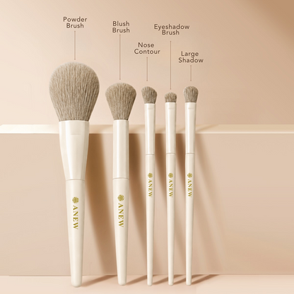 ANEW 10-Piece Beginner-Friendly Makeup Brush Set | Soft Synthetic Bristles for Face & Eye Makeup