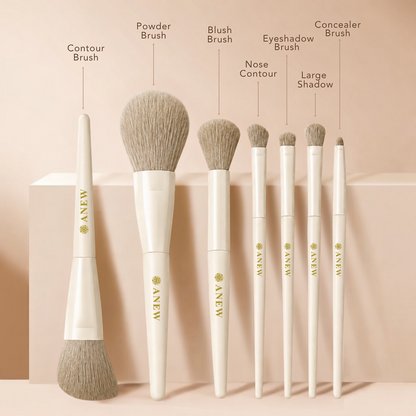 ANEW 10-Piece Beginner-Friendly Makeup Brush Set | Soft Synthetic Bristles for Face & Eye Makeup
